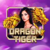 Dragon Tiger live casino on amjili